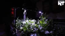 This Robot Makes Gardening Like a Game of 'Farmville'