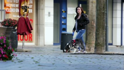 FIAT PROFESSIONAL MXGP of Belgium 2016 - Postcard