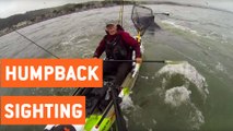 Fisherman Has Close Encounter With Humpback Whales