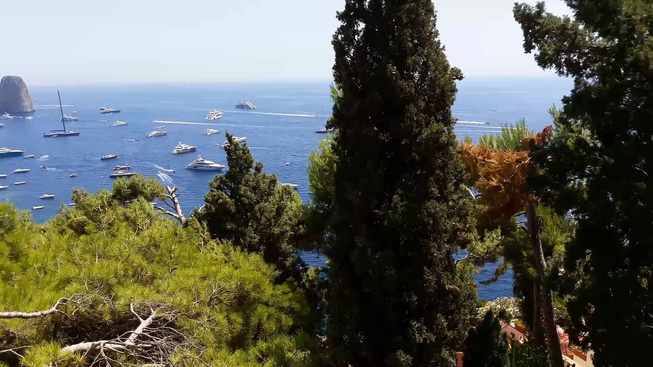 CAPRI