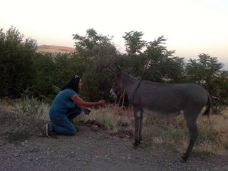 Dam Başında Oturur...
