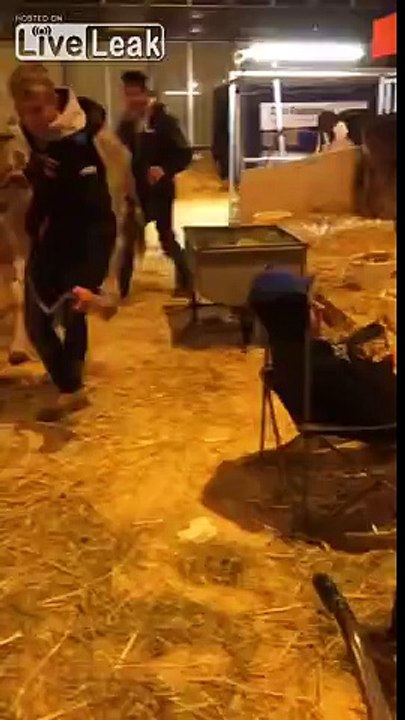 Cow poop's on sleeping guy's head Prank