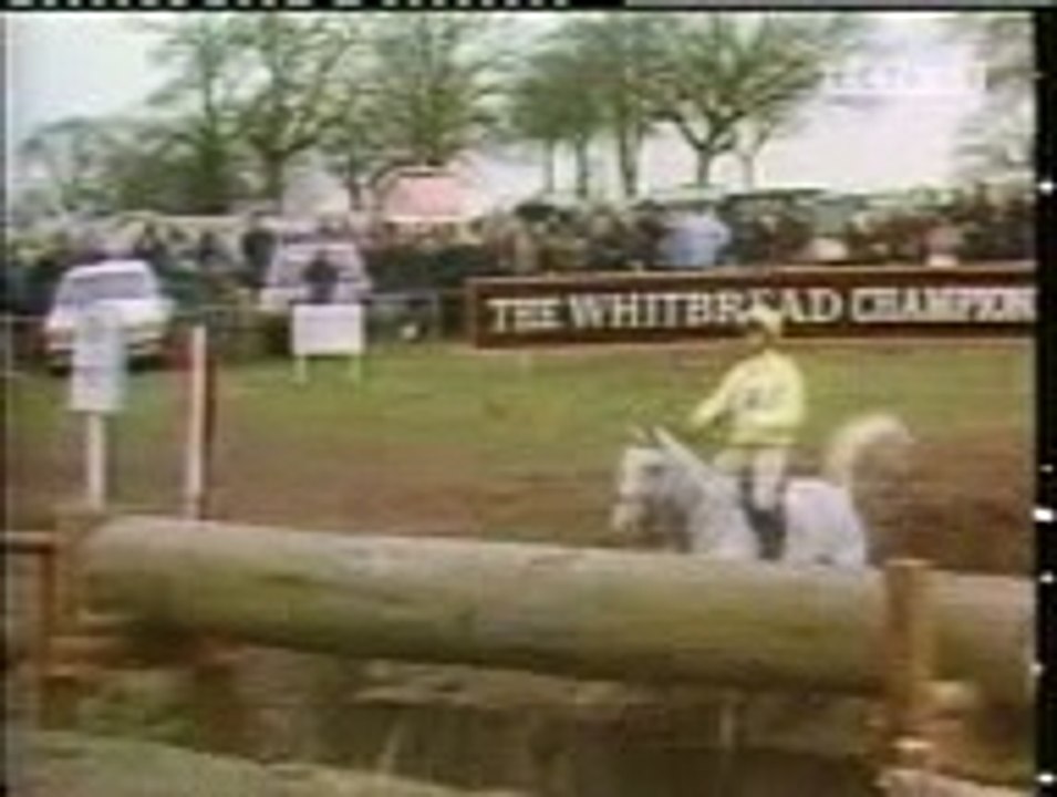 Horse stunt Funny