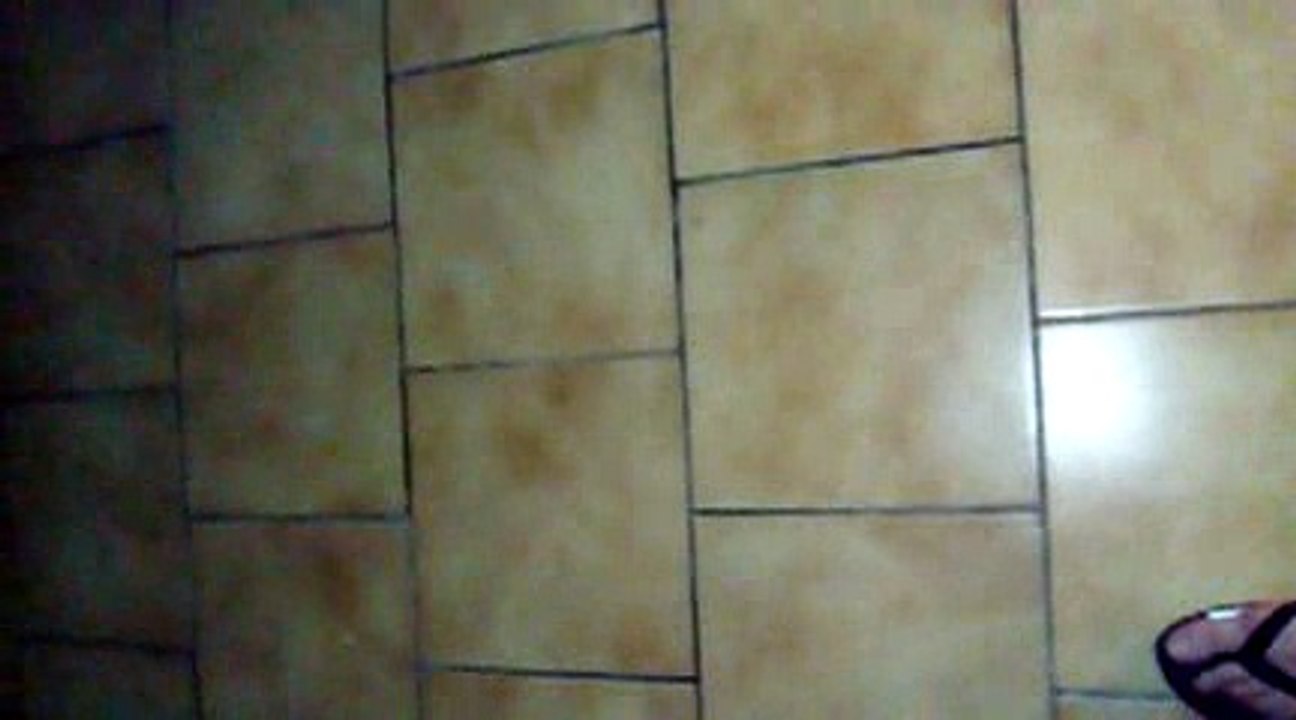 L'étendard sanglant est levé !