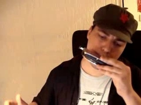 Harmonica - New York, New York - Frank Sinatra