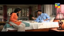 Zara Yaad Kar Episode 20 in HD on Hum Tv in High Quality 26th July 2016