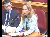 Roma - Videosorveglianza asili nido, audizione associazioni ed esperti (26.07.16)