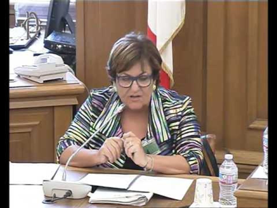 Roma - Piattaforme digitali, audizioni rappresentanti Agenzia delle entrate (26.07.16)