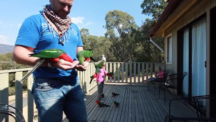 Un papa et ses filles sont sur le balcon ! Quelque chose de FABULEUX se produit !