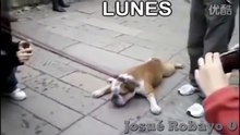 Jueves c