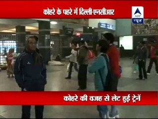 Fog affects traffic and transportation in Delhi