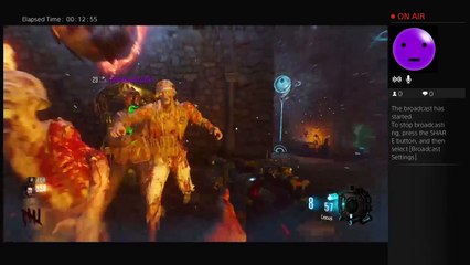 xX___JULlAN___Xx black ops 3 der EE (28)