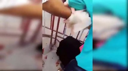 صفاقس: اصابة امرأة اثر تدافع للحصول على تذاكر مجانية لحفل نجوى كرم