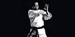 Karate Shotokan Kata M Nakayama