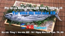 Phi lê cá ngừ - nhà hàng hải sản KB
