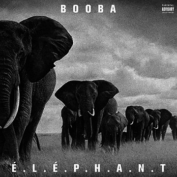 Booba - Éléphant [EXCLUSIVITÉ - Couvre Feu ] (OKLMRadio) + Lyrics