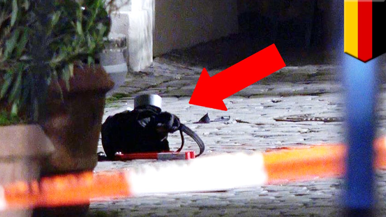 Refugee bomber kills self, injures 12 outside German music festival
