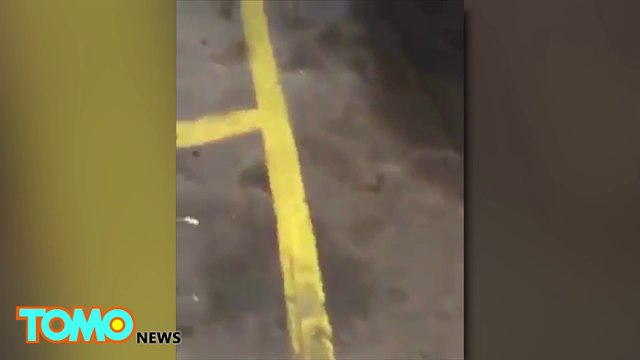 New details give clearer picture of Alton Sterling, Philando Castile police shootings