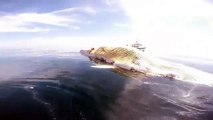 Tiburón blanco rodea el espacio donde se encuentra una ballena muerta