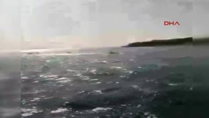 Ayvalık Cankurtaran Botu Baba-kızı Kurtardı