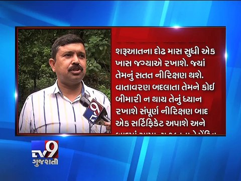 Mumbai: Byculla zoo spends Rs 25 crores to get 8 Humboldt penguins - Tv9 Gujarati