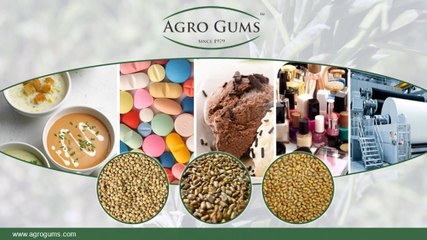 Applications of Cassia Gum Powder - Agro Gums