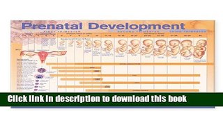 [PDF]  Prenatal Development Anatomical Chart  [Download] Full Ebook
