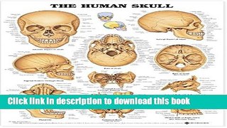 [PDF]  The Human Skull Anatomical Chart  [Read] Full Ebook