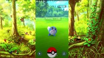 Pokemon Go Full APK Download New Screenshots