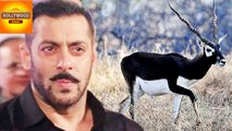 Salman Khan TROLLED By Fans For Blackbuck Case | Bollywood Asia