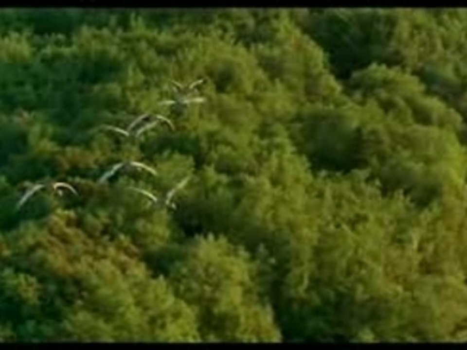 Nomadas del Viento 0