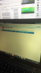 báo cáo thuế quý 2 công ty sáng tạo xanh thật khó