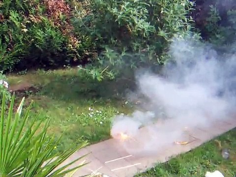 Combustion of phosphorus. Combustion du phosphore.