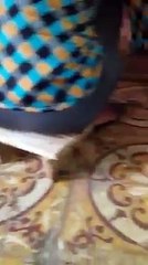 Kiếp giấy giáp haha. Các cô giấy giáp nhà nhiều tài quá.k