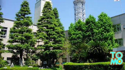 藤沢市教委職員が給食費6470万円を着服　旅行や住宅ローンに流用