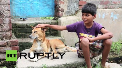 A 10 ans, ce jeune garçon se nourrit de lait de chien