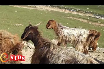 Crossing the River - Babusar Top - Beauty of Pakistan