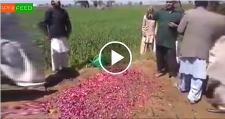 Islam teachings for peace