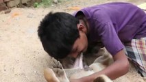 En inde cet enfant de 10ans se nourrit de lait de chien