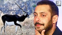 Salman Khan TROLLED By Fans For Blackbuck Case
