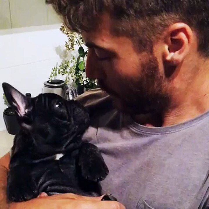 French Bulldog puppy discovers whistling sound