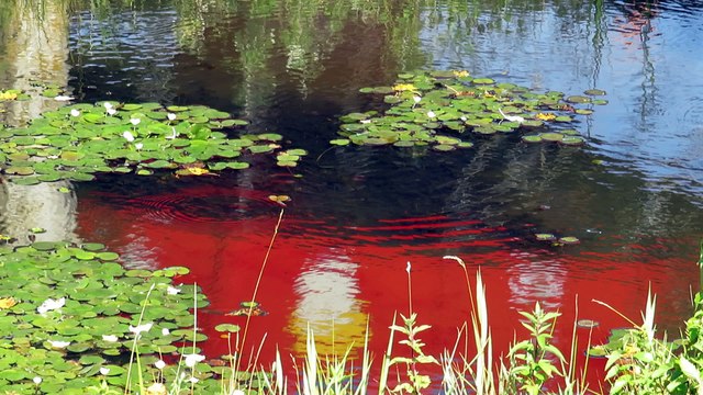 manège sièges volants dans l'eau