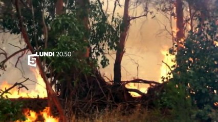 Australie, l'eau et le feu - Sale temps pour la planète