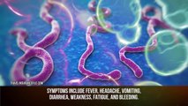 10 Most DISTURBING Virus Mutations In People
