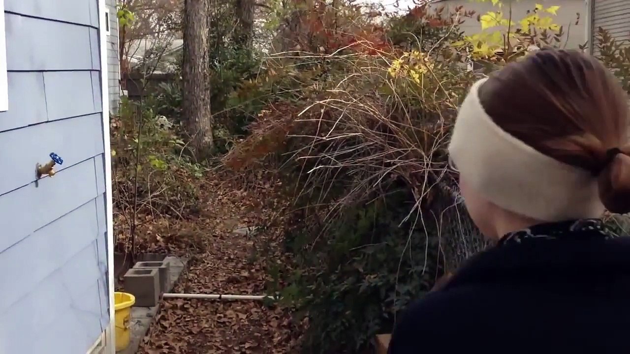 La porte d'entrée d'une maison en passage secret dans le mur !