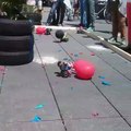 Oyuncak arabalar ile balon patlatma yarışı