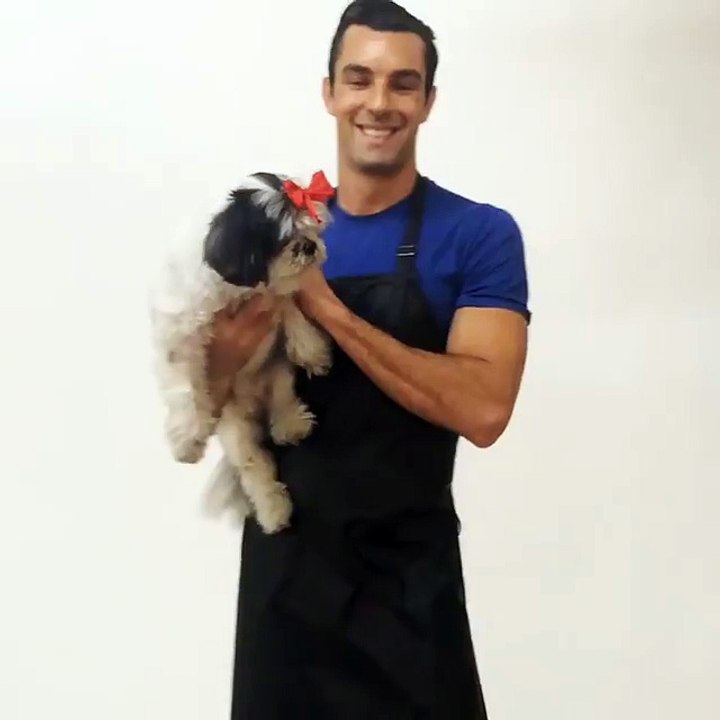 Ladybird Line Inc – Pet Grooming Apparel - Dog Groomers Apparel - Pro Salon Rhinestone Apron