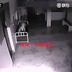 Voici la vidéo incroyable qui fait beaucoup parler d'elle