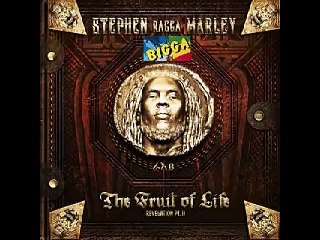 Stephen Ragga Marley - When She Dances (ft. Pitbull)