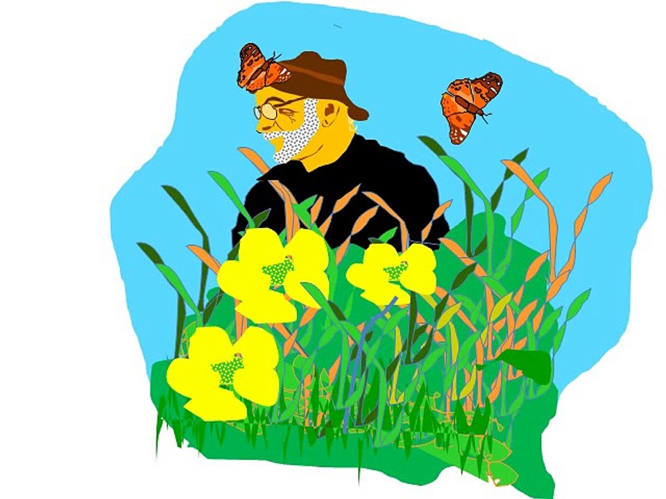 Les papillons donnent des ailes à ma poésie.